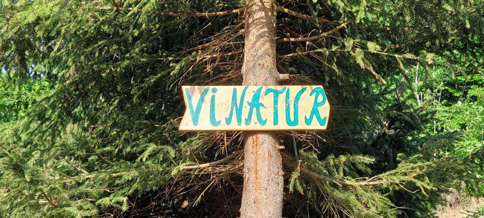 Pensiunea Vinatur 波卢巴库苏斯 外观 照片